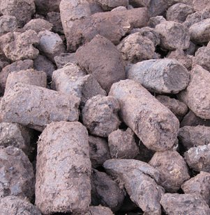 Burning Peat