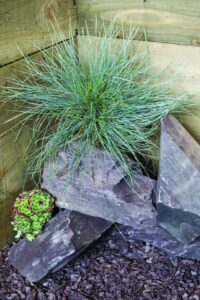 Plum Slate